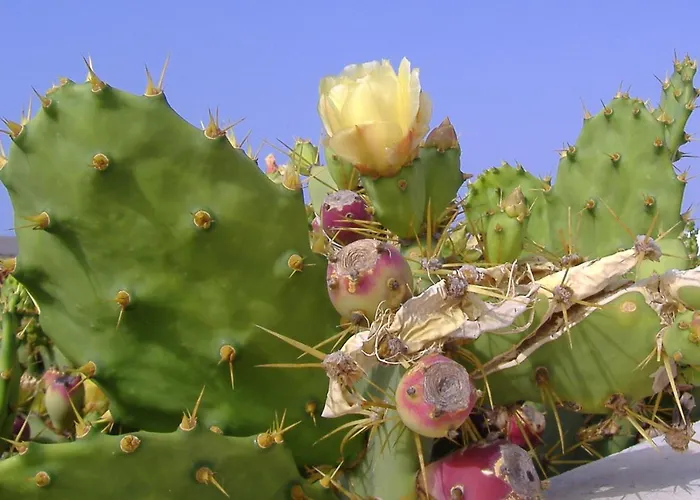 Apartman Atalaya Vista Mar *