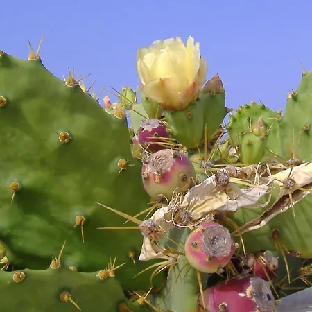 Διαμέρισμα Atalaya Vista Mar *