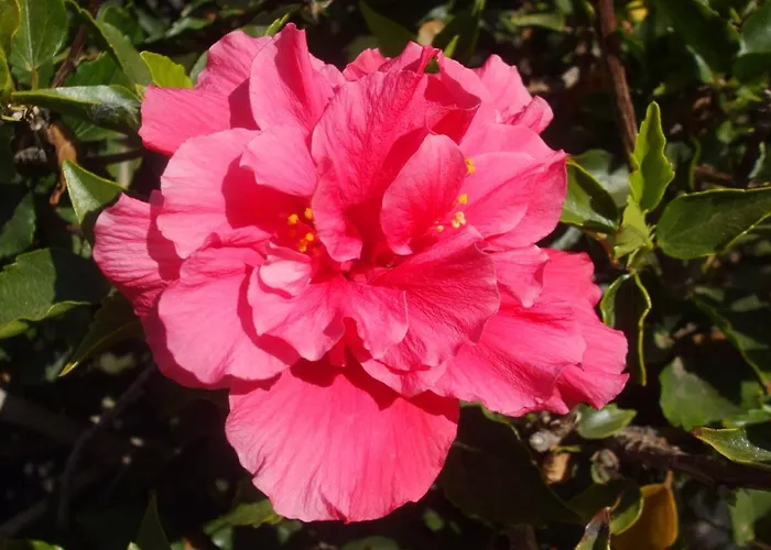 Διαμέρισμα Atalaya Vista Mar *