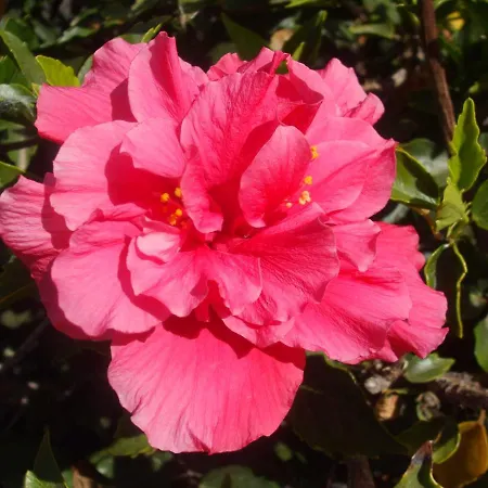 아파트 Atalaya Vista Mar *